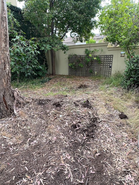 Before - Job 2